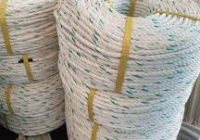 Dây thừng Con cá heo loại 4 Tao