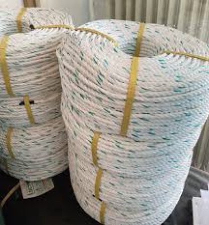 Dây thừng Con cá heo loại 4 Tao