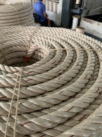 Dây thừng Con cá heo loại 4 Tao