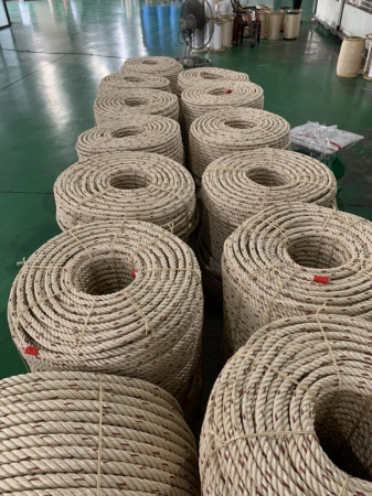 Dây thừng Con cá heo loại 8 Tao