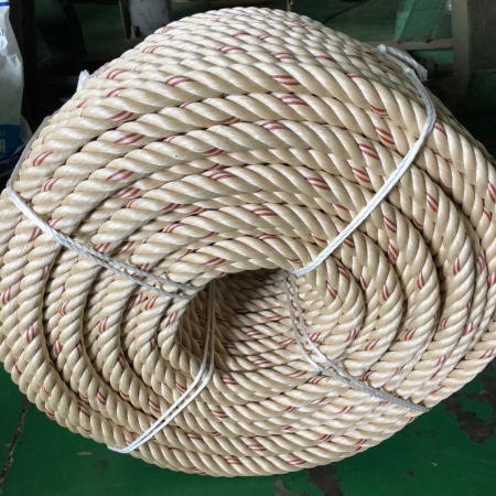 Dây thừng Con cá heo loại 8 Tao