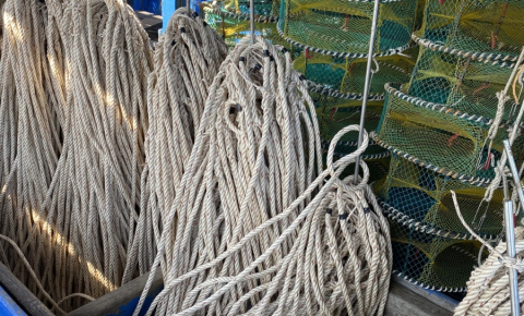 Dây thừng CON CÁ HEO làm dây thả rập BỌ BIỂN