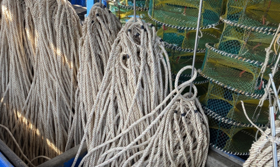 Dây thừng CON CÁ HEO làm dây thả rập BỌ BIỂN