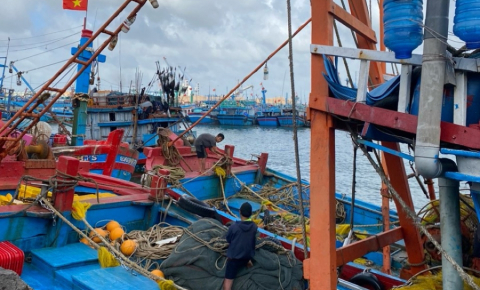 Dây thừng hiệu CON CÁ HEO về với cảng Cá Hoài Nhơn- BÌNH ĐỊNH