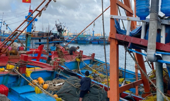 Dây thừng hiệu CON CÁ HEO về với cảng Cá Hoài Nhơn- BÌNH ĐỊNH