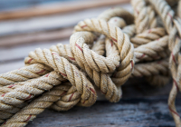 Dây thừng Con cá heo loại 4 Tao