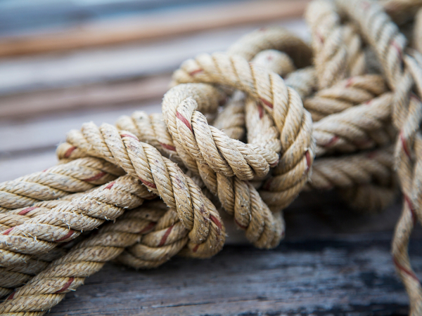 Dây thừng Con cá heo loại 4 Tao